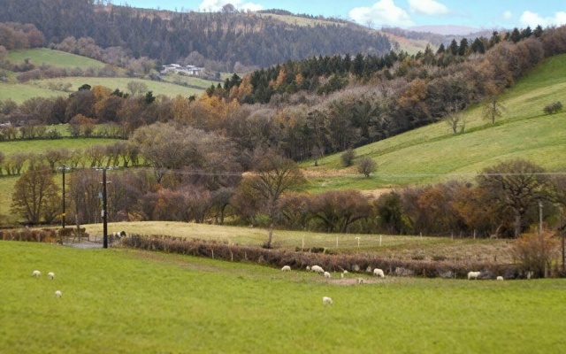 Tyn Y Celyn Canol