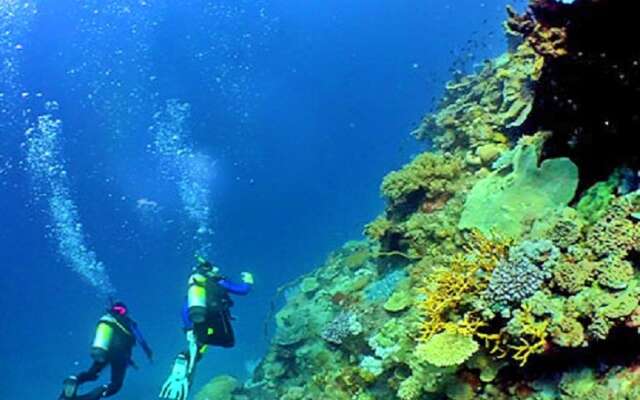 Penthouse Encosta da Orada