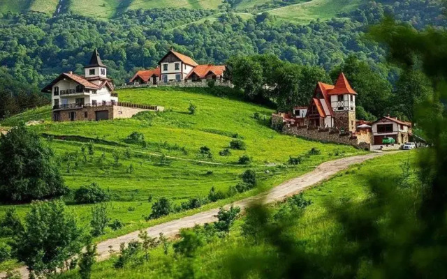 Hotel Alpine Castle