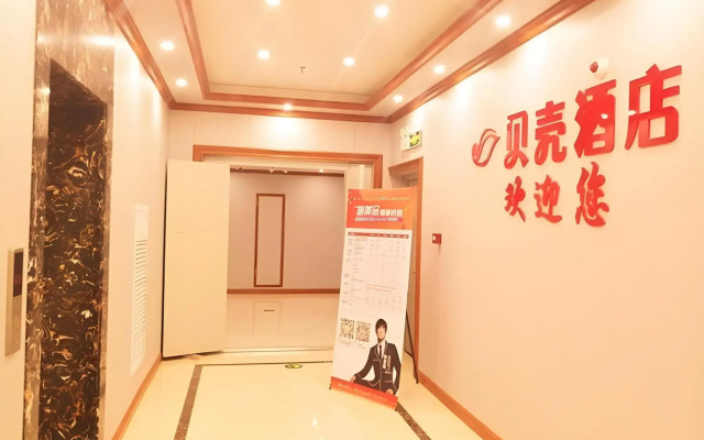 Shell Guangxi Fangchenggang City Fangchenggang Hig