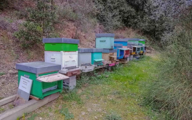 Agriturismo Il Pintello