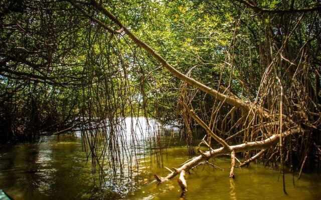 Riverbank Bentota