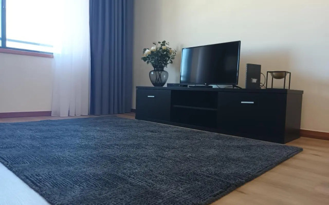 Gaia Douro Apartment