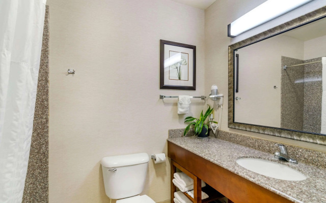 Comfort Inn & Suites near Bethel College