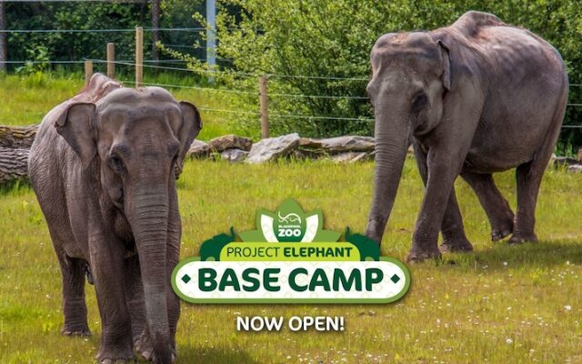 The Gatsby Blackpool