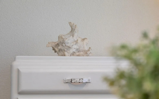 Pet-friendly Escape by the Sea