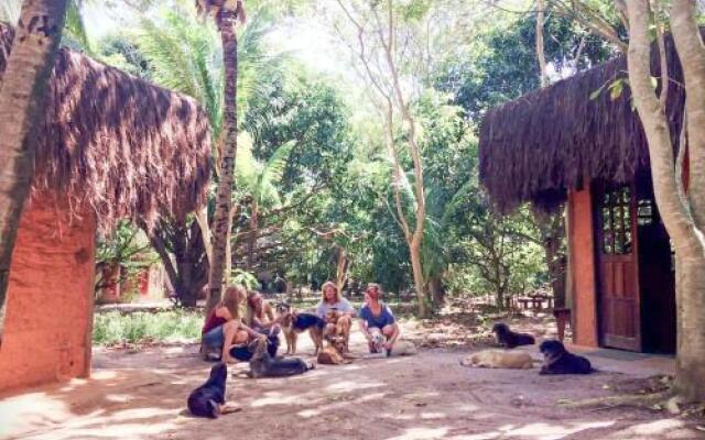 Nature Retreat with Healing Dogs in Brazil
