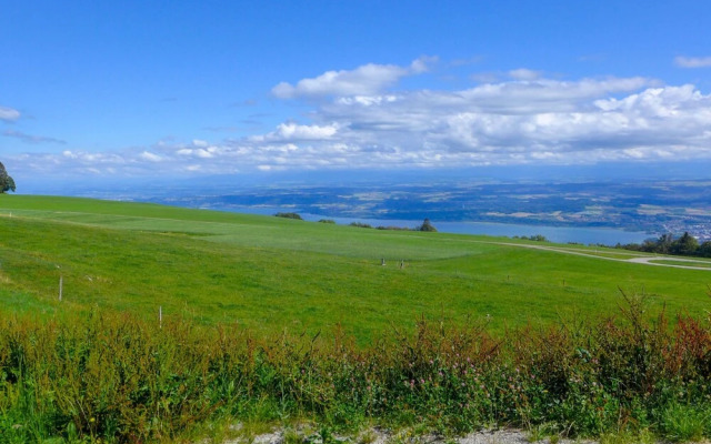 Chalet la Fr taz Bullet