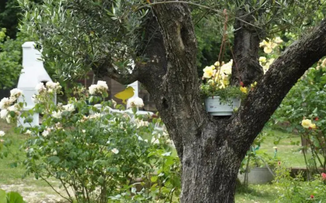 B&B Menica Marta Country House