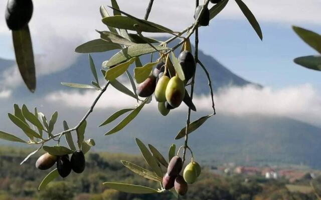 Salisù Country House