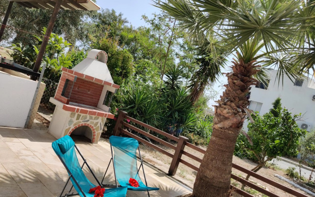 Palm garden paradise