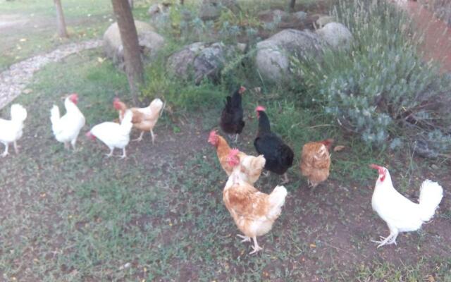 El Paso De Las Ciguenas