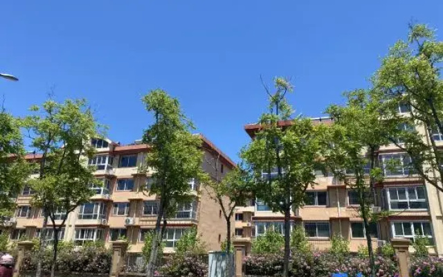 Summer ・ Light boutique homestay