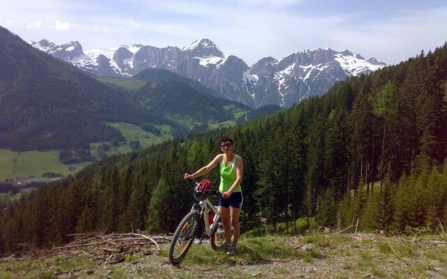 Haus Dachstein Schnitzer
