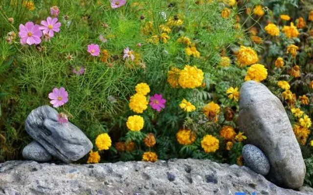 Bome Tibethostel Resort Hotel