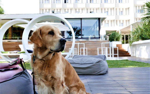 Oxygen Lifestyle Hotel