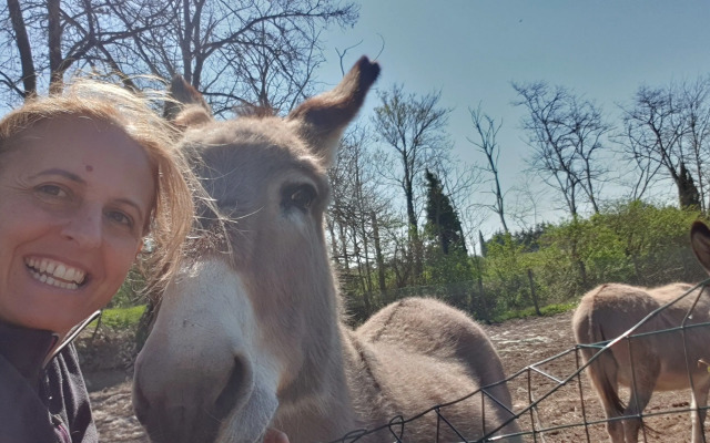 Margherita Holiday Home