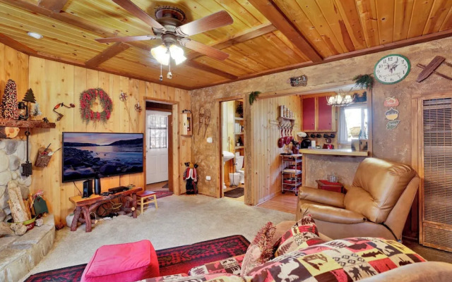 Cozy Bear Pines #2465