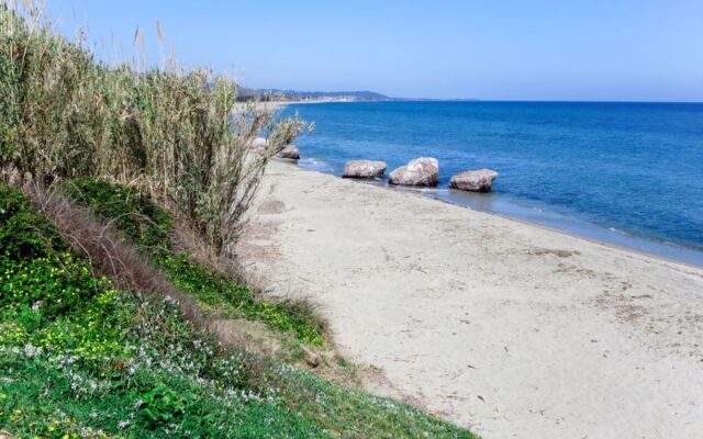 Paesolu Di Prunete