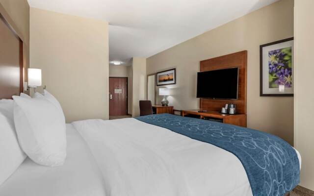 Comfort Suites Buda - Austin South