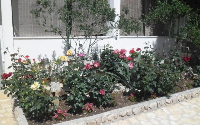 Apartments Marija Pag