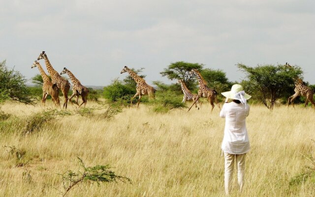 Maasai Simba Camp