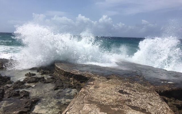 Jackies on the Reef