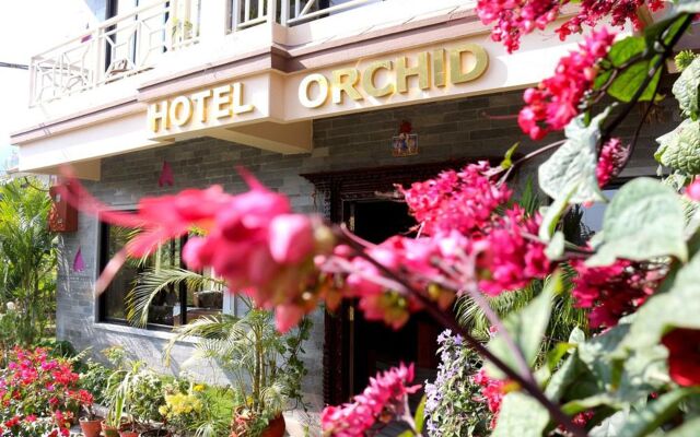 Hotel Orchid