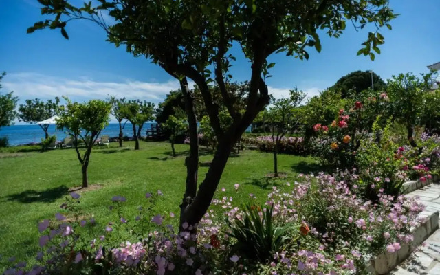 Ammos Skiathos