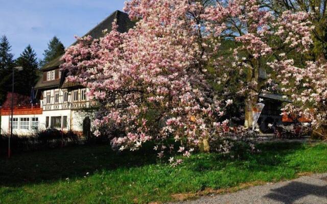 Schwarzwald-Gasthof Hotel Linde