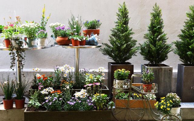 The Blossom Yeonnam Guesthouse