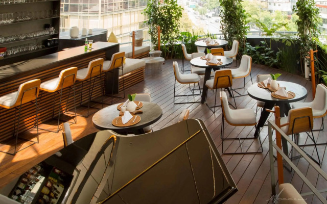 Suites Contempo