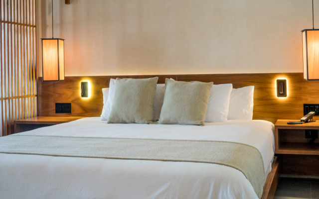 Hive Cancun