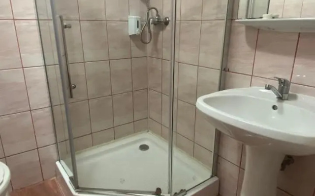 Pension La Viorel