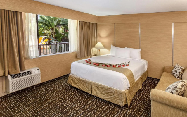 Ocean Beach Palace Hotel and Suites