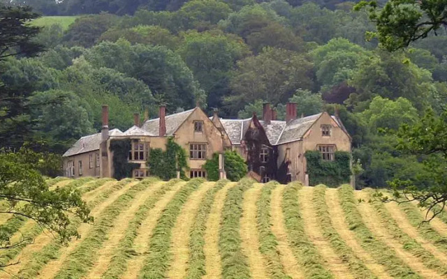Combe House Devon