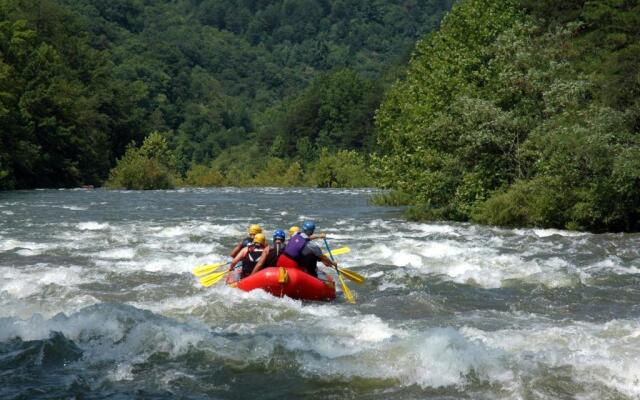 Cozy 2 Bedroom Apartment