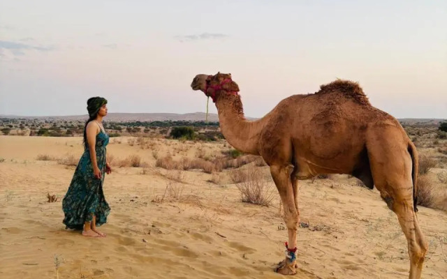 Crazy Camel Guest House