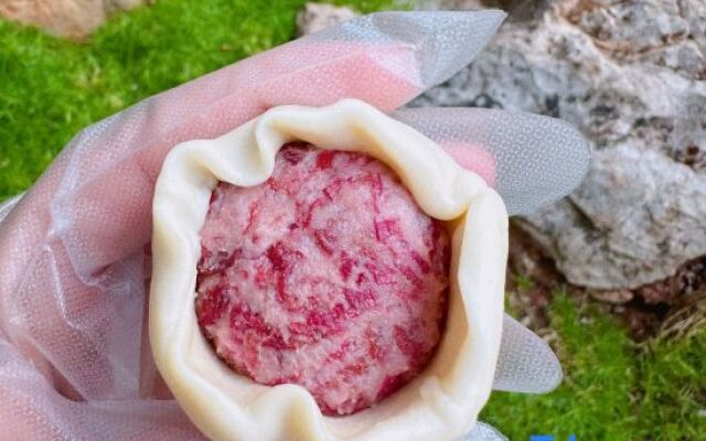 Xiao-zhu Zen buddhist lodge