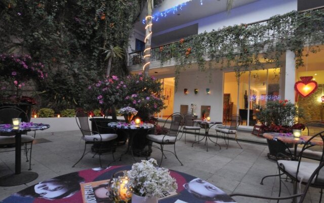 Casa de las Bugambilias B&B