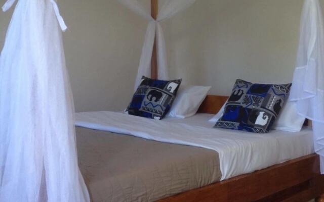 African wagtail hostel