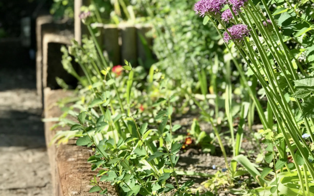 White Horse Inn Clun