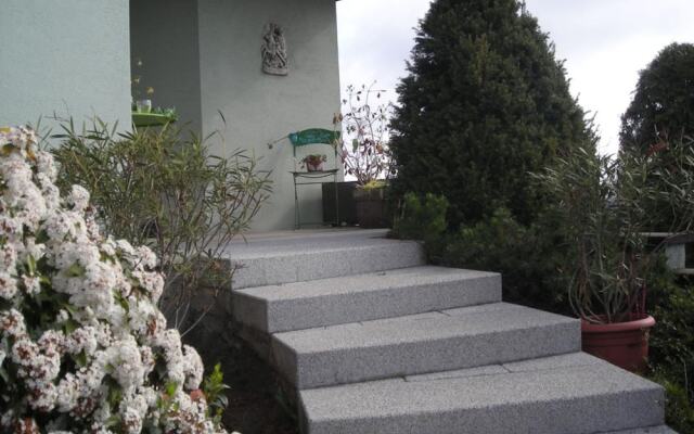 aux pieds des vignes