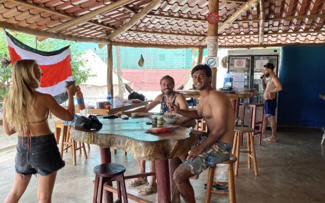 TamaHostel & Glamping