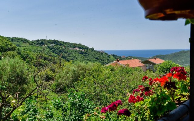 Sea View Villa w Terrace 10 Min to Beach in Budva