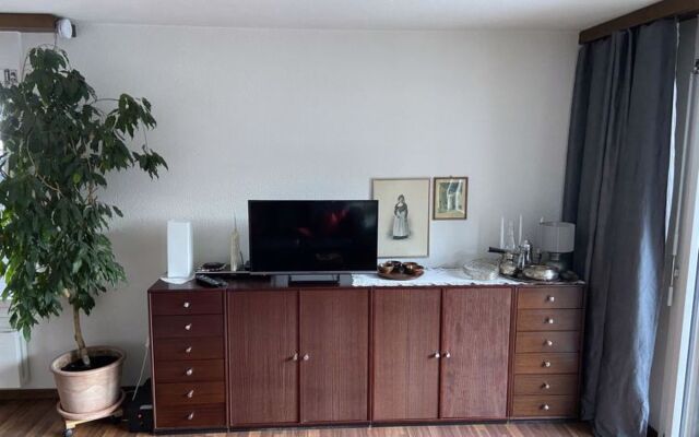 Apartment Morion Lenk