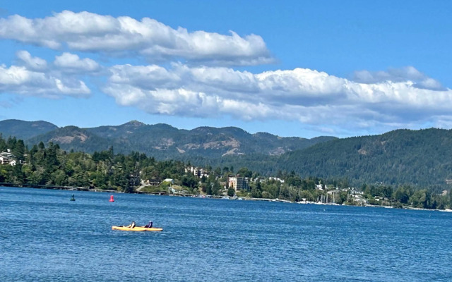 Seagull Studio Vacation Guest Suite