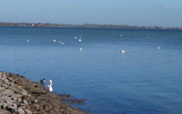 Resort Orther Reede, Fehmarn-orth