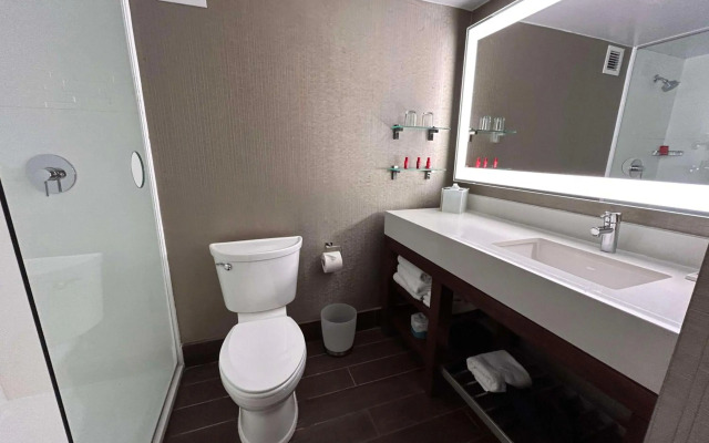 Skyline Hotel Detroit Airport, SureStay Collection by BW