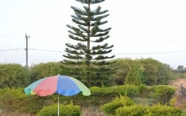 Zip Raashi Farm